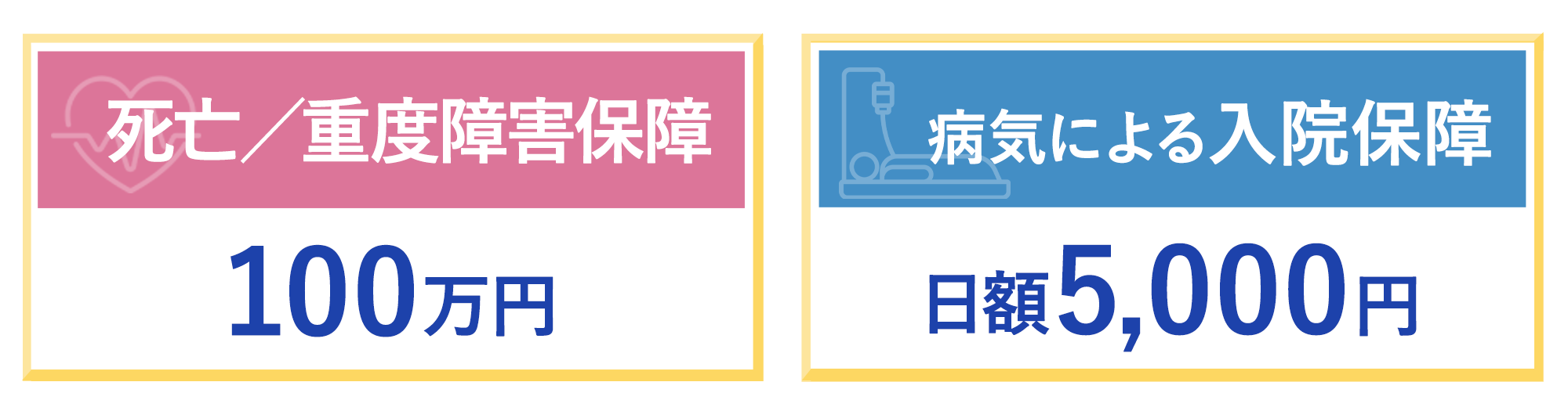死亡／重度障害保障100万円