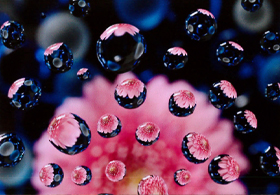 作品:水滴の世界