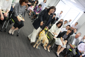 【盲導犬】飼い主の歩行をサポートしているシーン