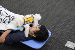 【聴導犬】アラームがなり飼い主を起こしているシーン