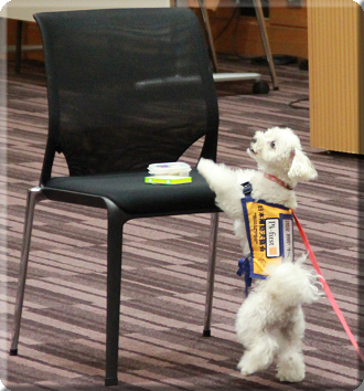 補助犬パピー委託式_4